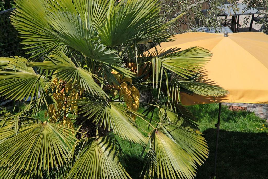 Hotel Jardis (Adults Only) Lana Bagian luar foto